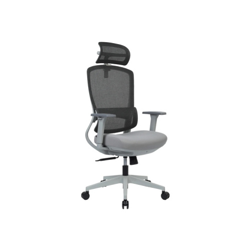 Кресло руководителя Skill RCH 6245AX-HS (Ткань) Кресло руководителя Skill RCH 6245AX-HS (Ткань)