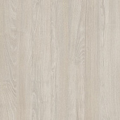 Акация Морава