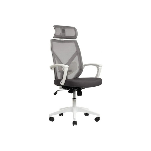 Кресло офисное Oliver RCH W-203AC (Белый пластик) (Сетка/Ткань) фото 3